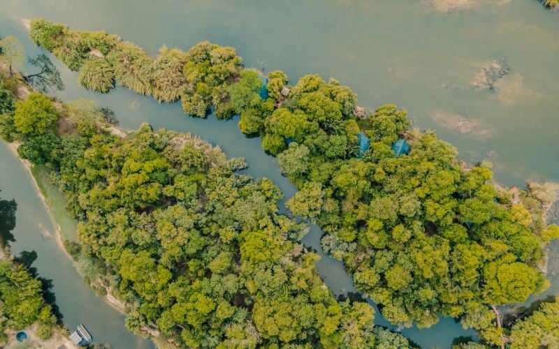 TintswaloSiankaba-Island